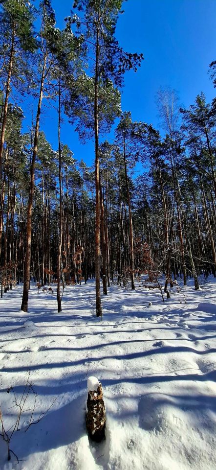 Działka rekreacyjna Laski. Zdjęcie 3