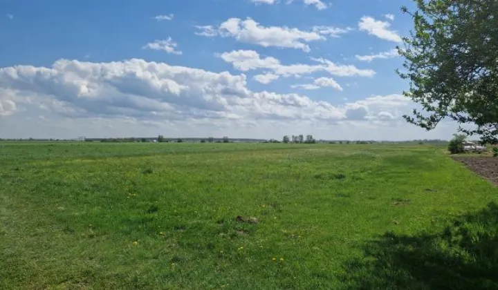 Działka budowlana Małopole