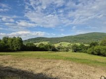 Działka rolno-budowlana Hańczowa. Zdjęcie 2