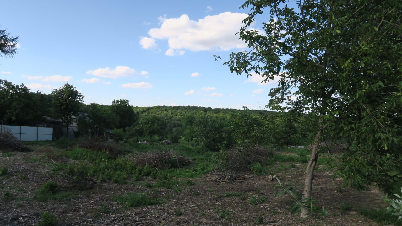 Działka rekreacyjna Albinów Duży. Zdjęcie 5