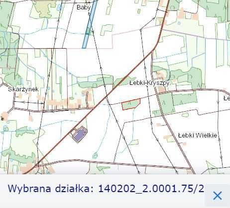 Działka leśna Skarżynek. Zdjęcie 2