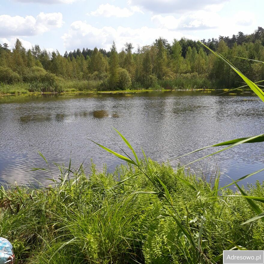 Działka rolno-budowlana Lorki. Zdjęcie 8