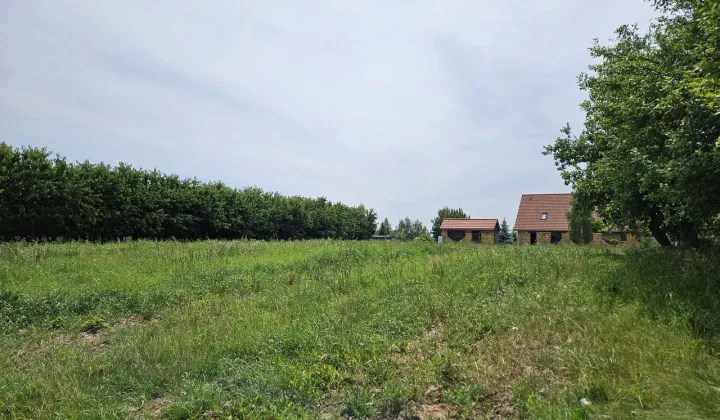 Działka rolno-budowlana Natalin, ul. Kosmiczna