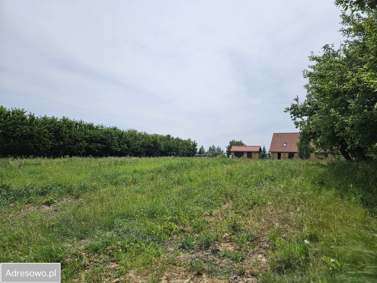 Działka rolno-budowlana Natalin, ul. Kosmiczna