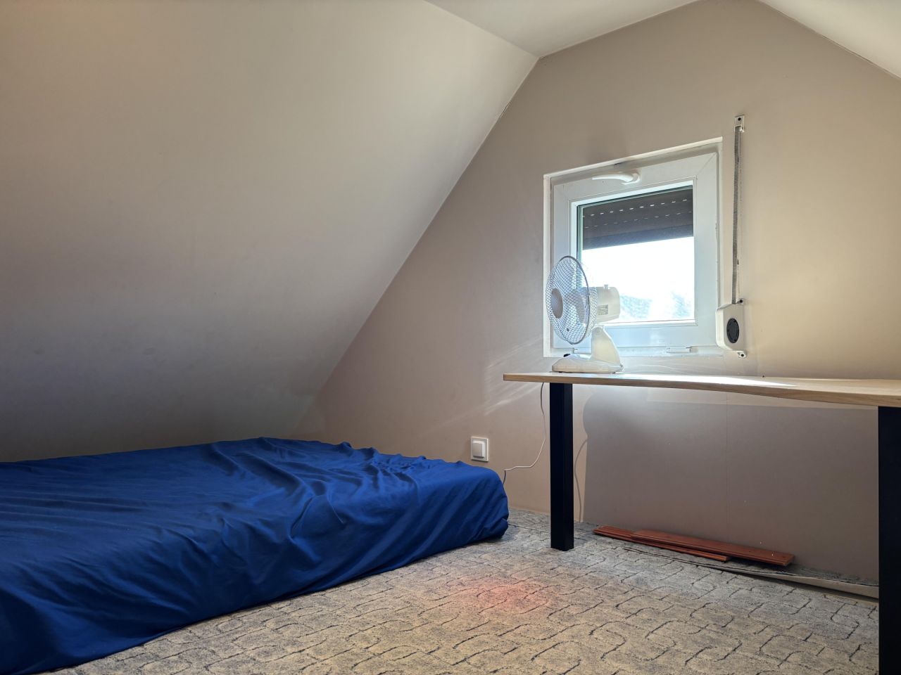 Działka rekreacyjna Powidz Ługi. Zdjęcie 12