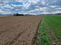 Działka budowlana Pilzno, ul. Grottgera. Zdjęcie 4