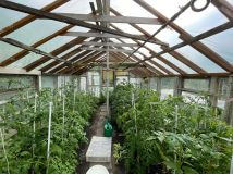 Działka rod Białystok, ul. Adama Mickiewicza. Zdjęcie 3