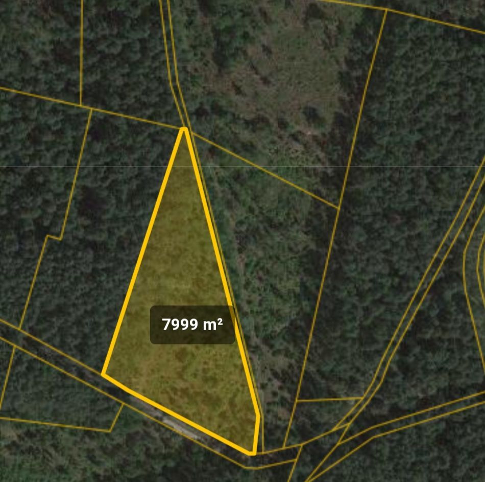 Działka leśna Ruda Kozielska. Zdjęcie 8