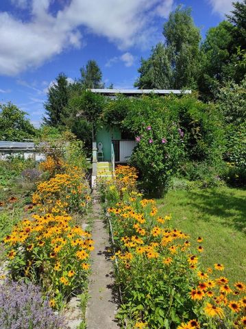 Działka rod Tarnobrzeg Wymysłów, ul. Modrzewiowa. Zdjęcie 1