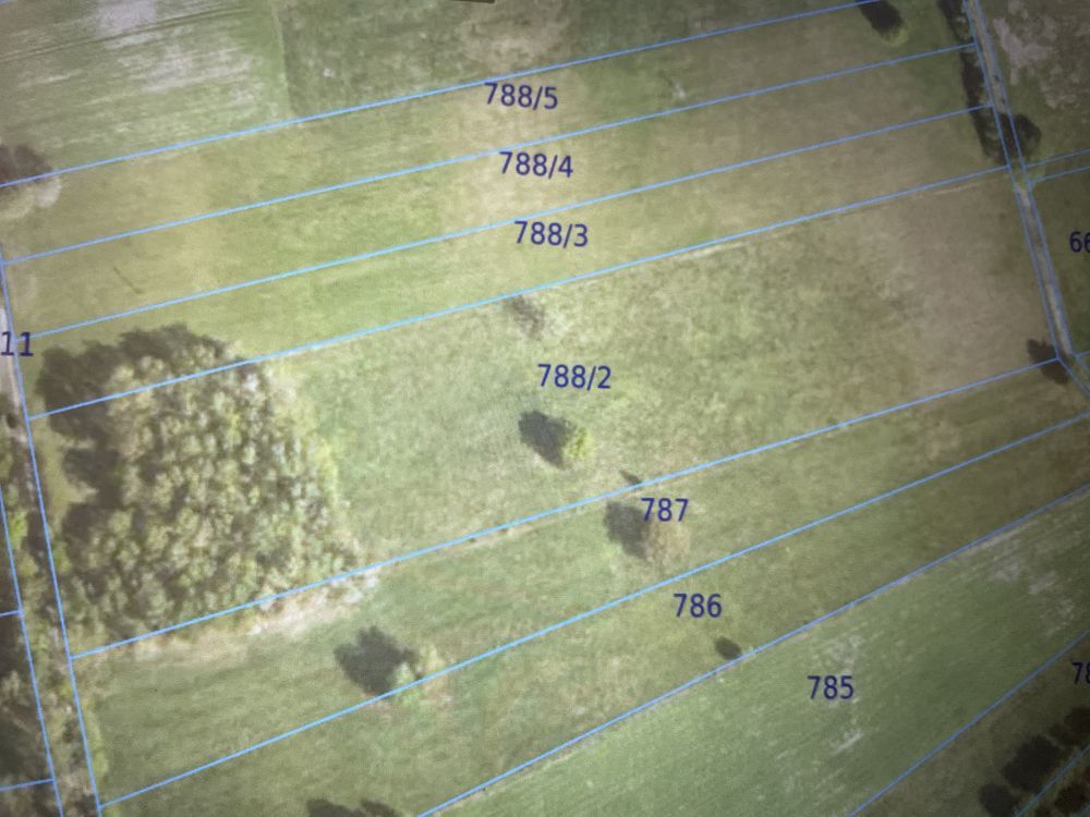 Działka rolna Zbójna Budniki. Zdjęcie 1