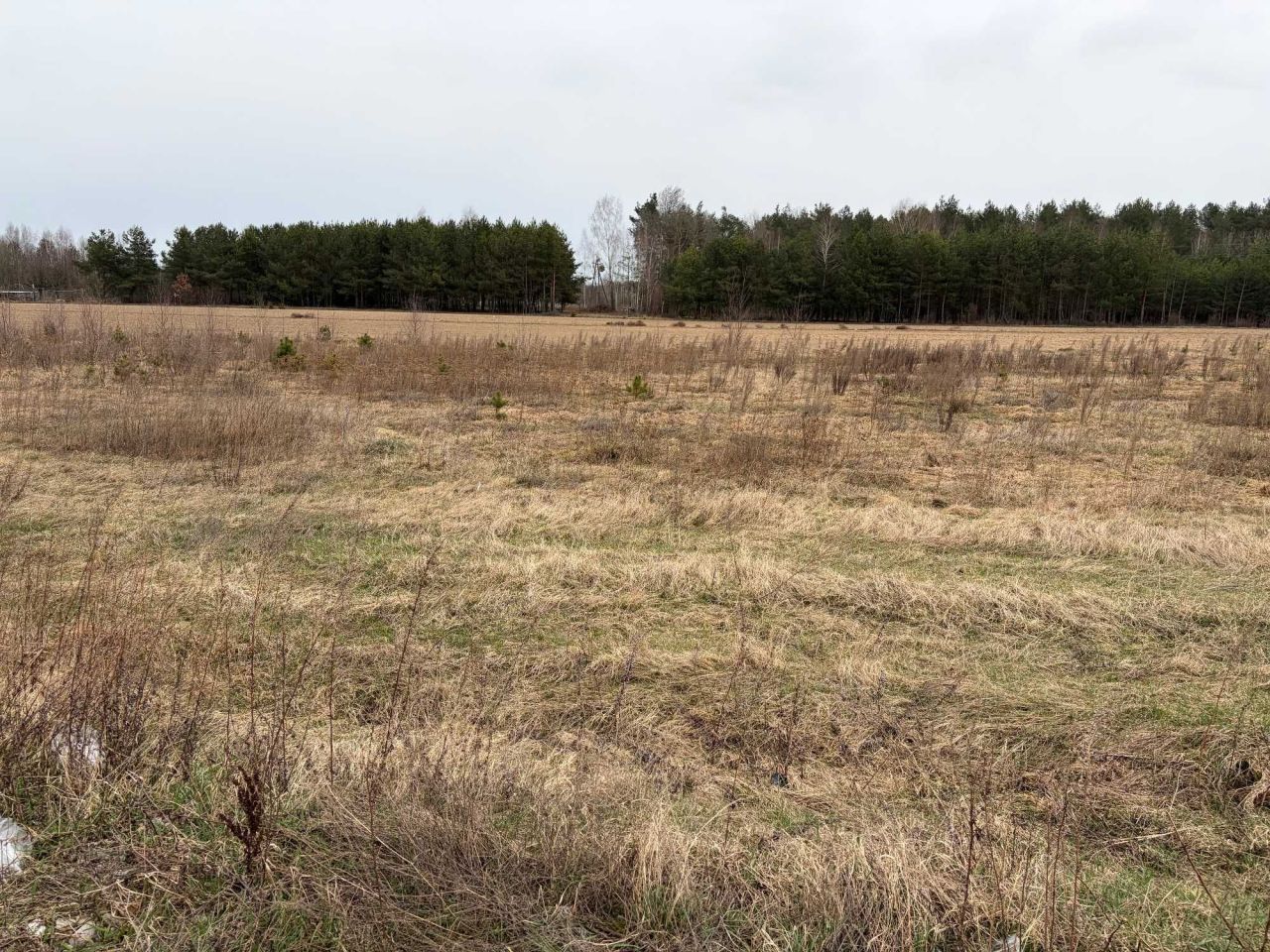 Działka budowlana Zagruszany. Zdjęcie 1