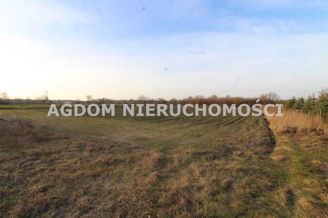 Działka rolna Chełmica Duża. Zdjęcie 2