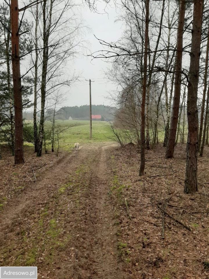 Działka rolna Nowe Kwiejce. Zdjęcie 2