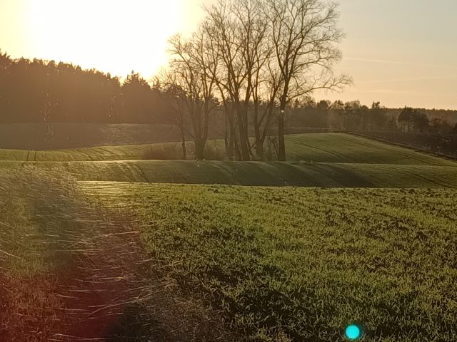 Działka rolno-budowlana Niedamowo. Zdjęcie 1