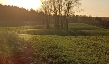 Działka rolno-budowlana Niedamowo