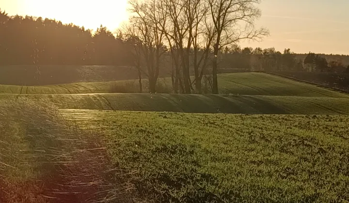 Działka rolno-budowlana Niedamowo