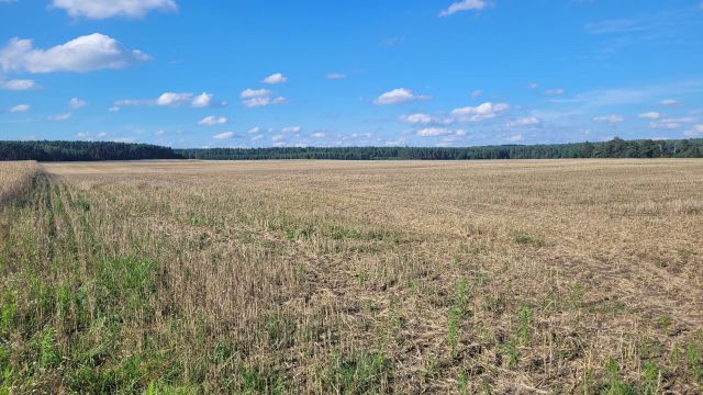 Działka rolna Nowa Jabłona. Zdjęcie 1