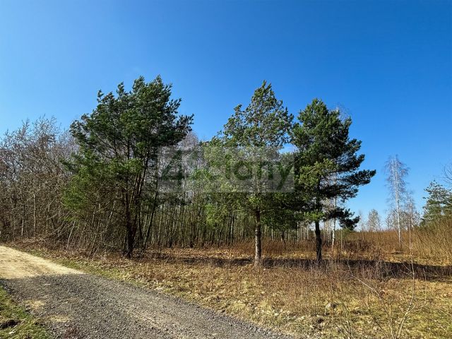 Działka budowlana Ojrzanów. Zdjęcie 4