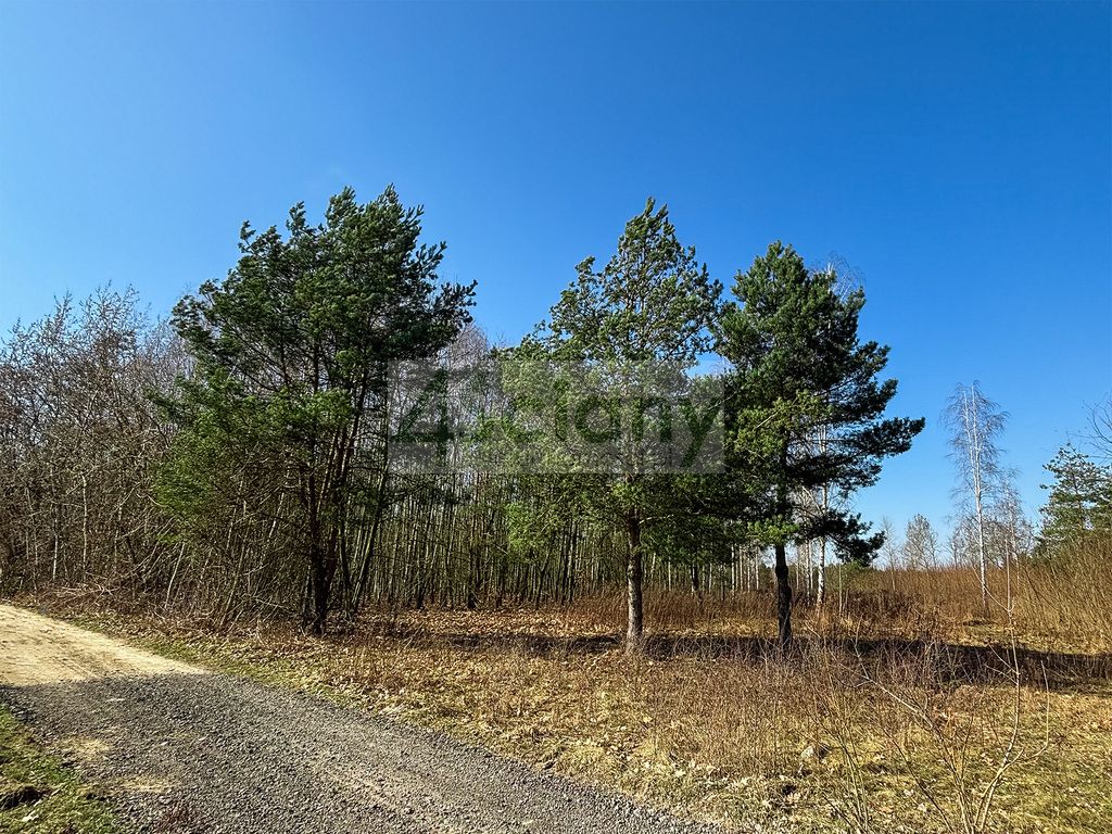 Działka budowlana Ojrzanów. Zdjęcie 4