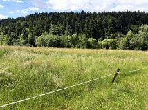 Działka rolno-budowlana Mszalnica. Zdjęcie 2