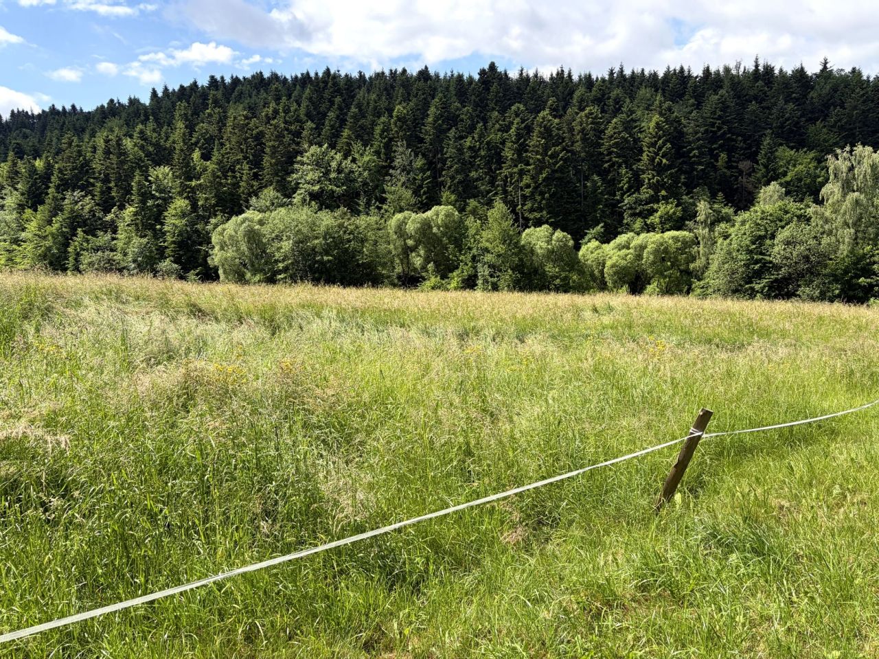 Działka rolno-budowlana Mszalnica. Zdjęcie 3