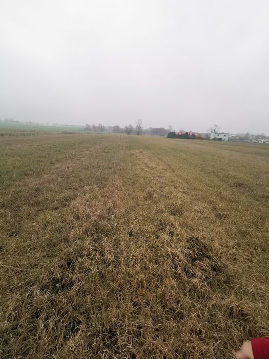 Działka budowlana Adamowo. Zdjęcie 3