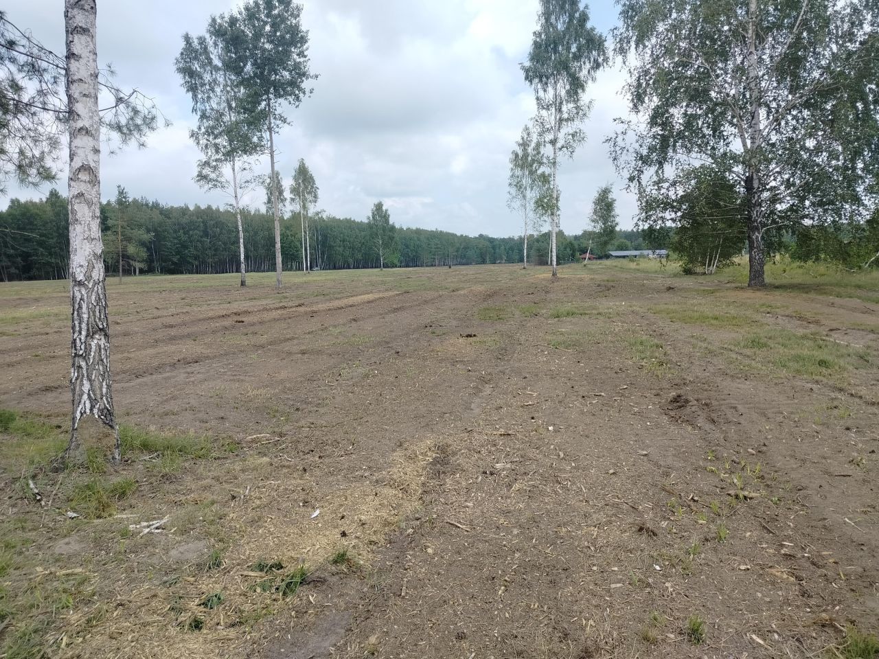 Działka rolna Krzyżówka, ul. Zarzeczna. Zdjęcie 10