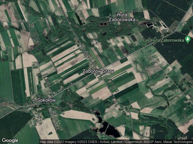 Działka leśna Zaborów Stary. Zdjęcie 1