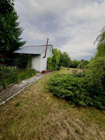 Działka rod Strzelce Krajeńskie. Zdjęcie 1