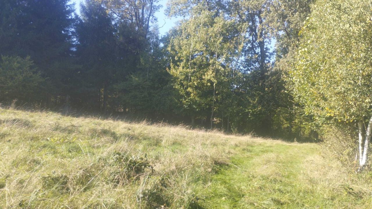 Działka rolna Jugowice. Zdjęcie 5