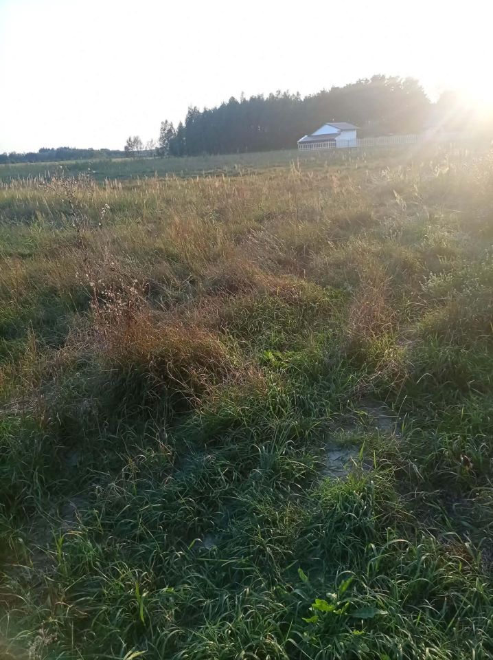 Działka rolno-budowlana Strzelce. Zdjęcie 1