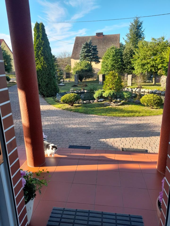 dom wolnostojący, 5 pokoi Czapla. Zdjęcie 16