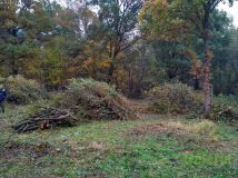 Działka budowlana Grębowo. Zdjęcie 4