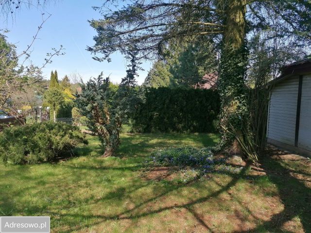 Działka rekreacyjna Zalesiany. Zdjęcie 1