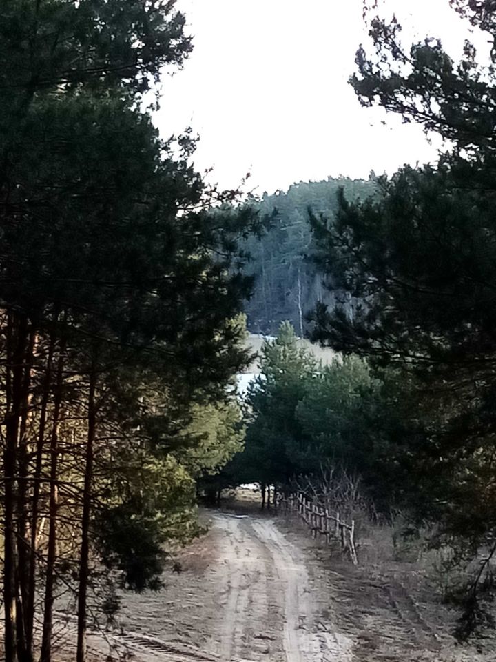 Działka rekreacyjna Świecie. Zdjęcie 8