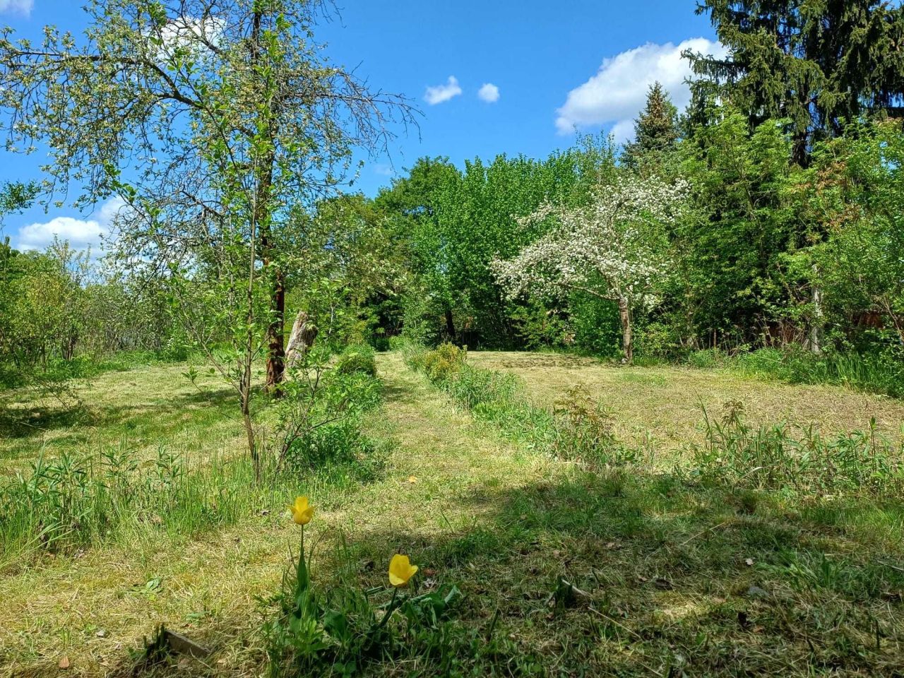 Działka rod Wrocław Krzyki, ul. Gazowa. Zdjęcie 5