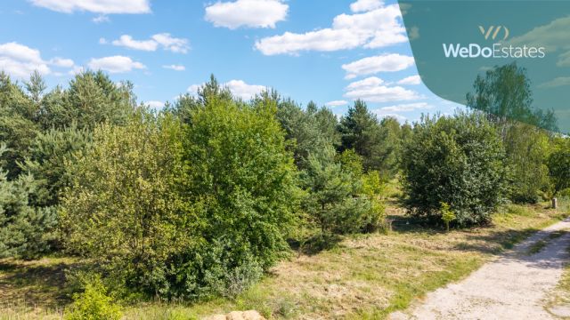 Działka budowlana Warszawianka, ul. Brzozowa. Zdjęcie 5