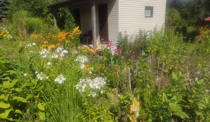 Działka rod Białystok Jaroszówka, ul. Gwiazdkowa