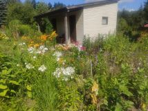 Działka rekreacyjna Białystok Jaroszówka, ul. Gwiazdkowa