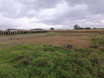 Działka rolno-budowlana Żółtańce. Zdjęcie 1