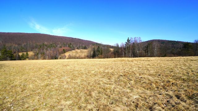 Działka rolna Regietów. Zdjęcie 3