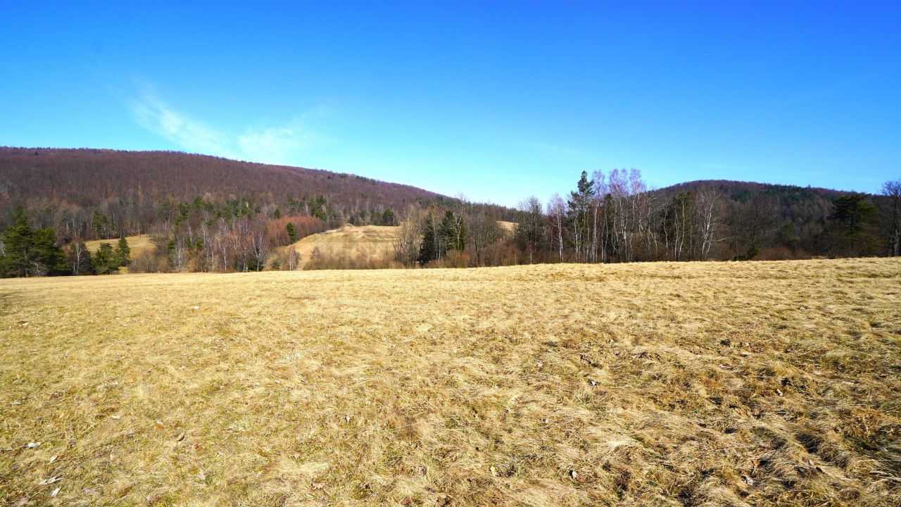 Działka rolna Regietów. Zdjęcie 3