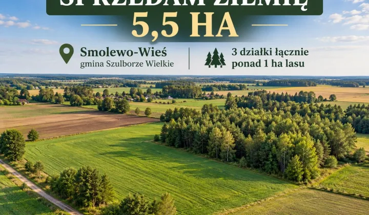 Działka rolna Smolewo-Wieś