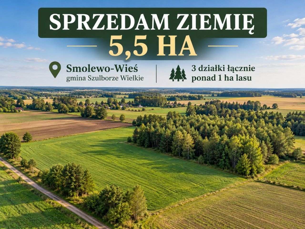 Działka rolna Smolewo-Wieś. Zdjęcie 1