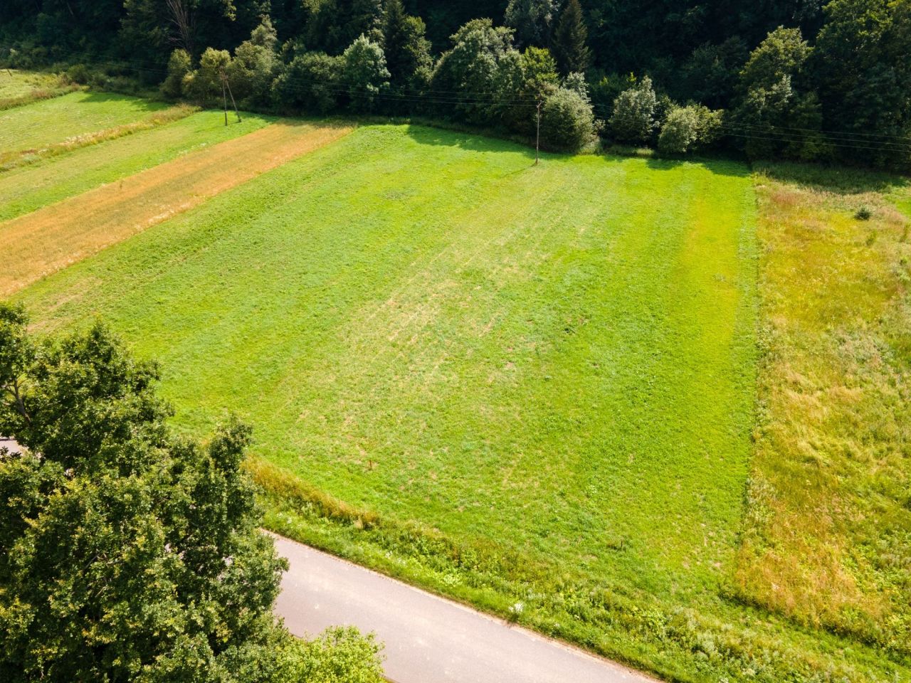 Działka rekreacyjna Wańkowa. Zdjęcie 2