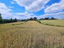 Działka budowlana Masłomiąca, ul. Jurajska. Zdjęcie 3
