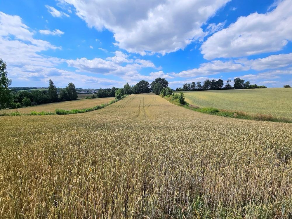 Działka budowlana Masłomiąca, ul. Jurajska. Zdjęcie 4