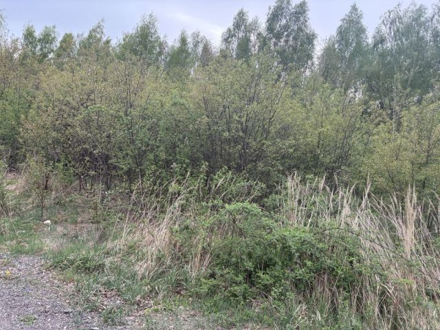 Działka budowlana Łódź Polesie, ul. Pienista. Zdjęcie 1