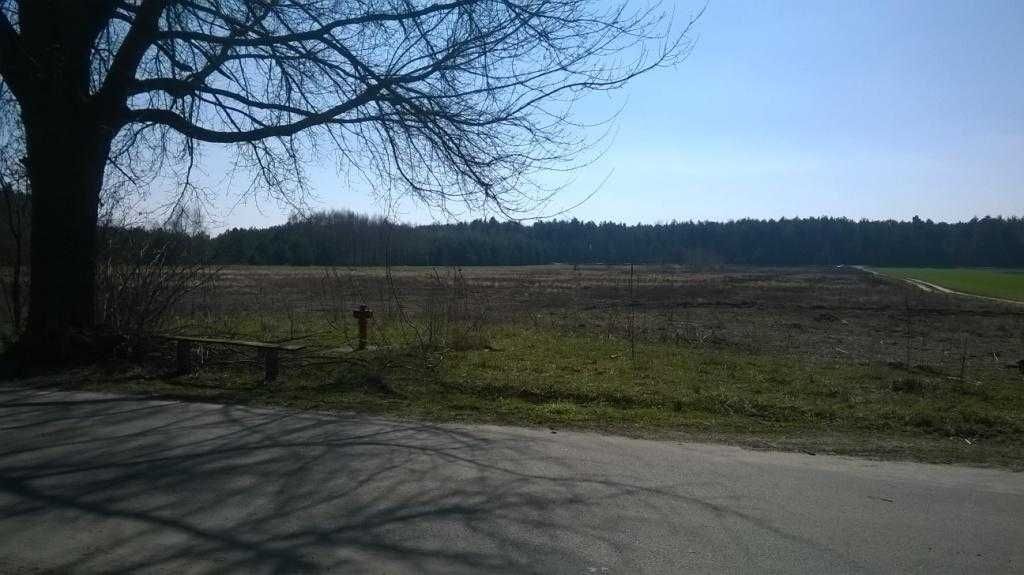Działka inwestycyjna Sławczyn. Zdjęcie 5