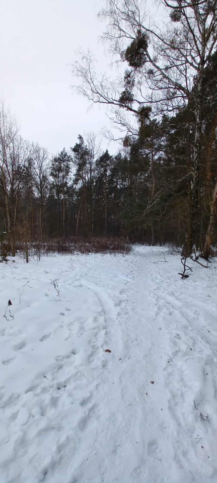 Działka budowlana Leszno, ul. Sochaczewska. Zdjęcie 5